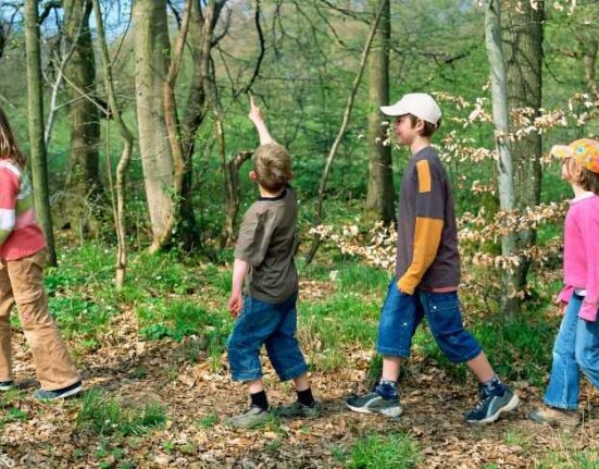 Szukasz atrakcji dla dzieci w Kaliszu? Park Miejski z minizoo, Aquapark, Zalew Szałe, sale zabaw i Park Przyjaźni – idealne miejsca na rodzinny weekend pełen wrażeń - Miasto.in