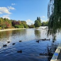 Warszawski Central Park - Park Bródnowski
