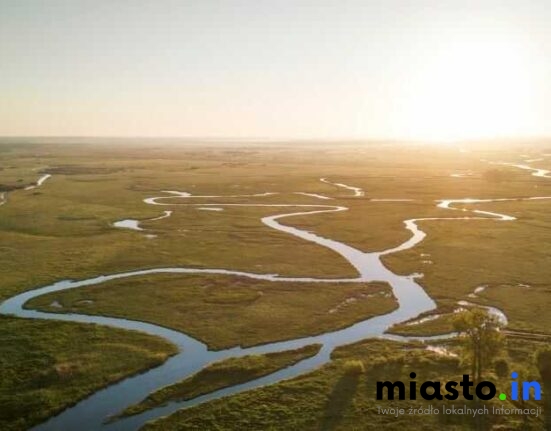 Kalendarz naturalny Białegostoku – kiedy i gdzie najlepiej obserwować przyrodę? - Miasto.in