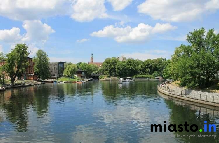 Bydgoszcz Na Cztery Pory Roku: Kiedy i Gdzie Obserwować Przyrodę (Brda, Myślęcinek, Fordon) - Miasto.in