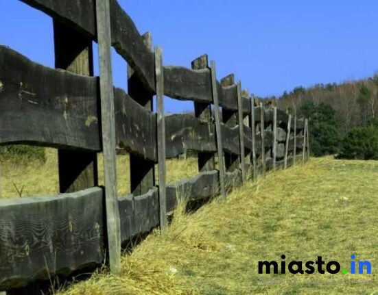 Kalendarz Przyrody Częstochowy: Kiedy i Gdzie Obserwować Naturę (Lisiniec, Dolina Warty, Dolinki Jurajskie) - Miasto.in