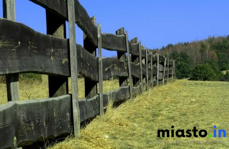 Kalendarz Przyrody Częstochowy: Kiedy i Gdzie Obserwować Naturę (Lisiniec, Dolina Warty, Dolinki Jurajskie) - Miasto.in