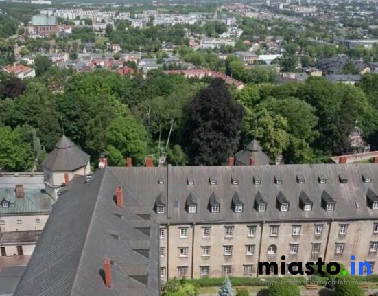 Dowód, Meldunek, Rejestracja Auta w Częstochowie — Prosty Poradnik Krok Po Kroku [+Adresy i Godziny] - Miasto.in