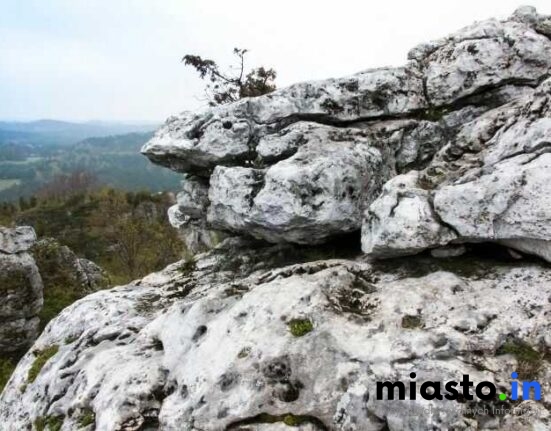 Częstochowa Na Nogi i Dwa Kółka: TOP Trasy Spacerowe i Rowerowe (Lisiniec, Promenada Niemena, Jura) - Miasto.in