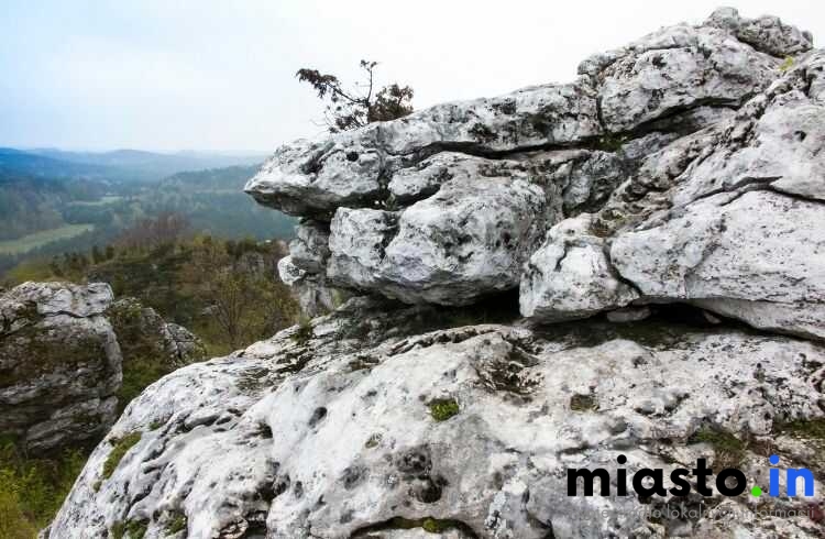 Częstochowa Na Nogi i Dwa Kółka: TOP Trasy Spacerowe i Rowerowe (Lisiniec, Promenada Niemena, Jura) - Miasto.in