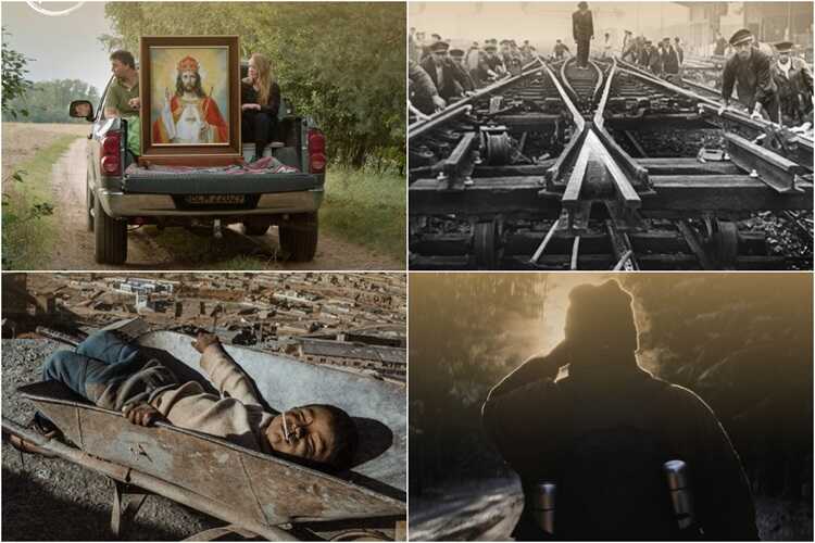 Kadry z filmów, które będą pokazywane w sekcji Dokument w Gdyni Od lewej u góry: „Pod powierzchnią”, „Pociągi”, „Silver” i „Gość” (mat. prasowe FPFF)
