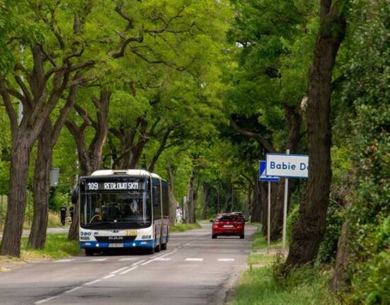 Do niebezpiecznego incydentu doszło w autobusie linii 109, który jechał w kierunku Babich Dołów (fot. Michał Gieranowski)