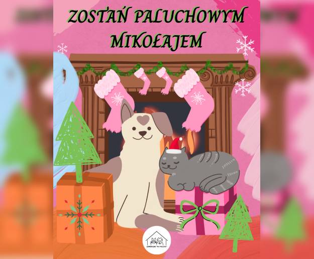 Zostań Paluchowym Mikołajem!