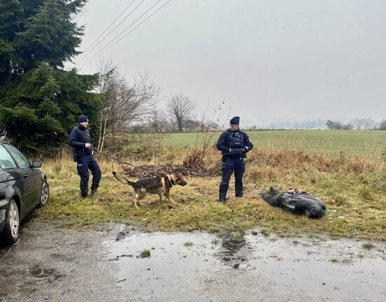 Pościg za Kierowcą BMW Wejherowo