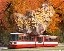 Poznańskie Rogale w Tramwaju w Gdańsku
