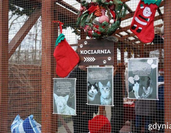 AMW Arka Gdynia gra mecz dla Ciapkowa (fot. Magdalena Śliżewska)