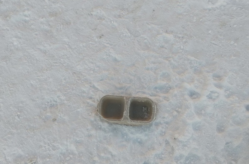 Zwierzęta nie miały co pić.