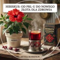Nostalgiczna grafika okładkowa artykułu o hibiskusie. W centralnym kole widać szklankę czerwonej herbaty w metalowym koszyczku z PRL-u, doniczkę z kwitnącym hibiskusem oraz puszkę herbaty w tle. U góry napis: "HIBISKUS: OD PRL-U DO NOWEGO ZŁOTA DLA ZDROWIA". U dołu napis: "ARTYKUŁ NA MIASTO.IN". Całość w przyjaznym, ilustracyjnym stylu z motywem łapek.