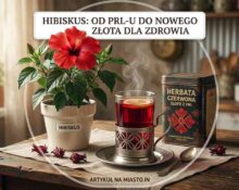Nostalgiczna grafika okładkowa artykułu o hibiskusie. W centralnym kole widać szklankę czerwonej herbaty w metalowym koszyczku z PRL-u, doniczkę z kwitnącym hibiskusem oraz puszkę herbaty w tle. U góry napis: "HIBISKUS: OD PRL-U DO NOWEGO ZŁOTA DLA ZDROWIA". U dołu napis: "ARTYKUŁ NA MIASTO.IN". Całość w przyjaznym, ilustracyjnym stylu z motywem łapek.