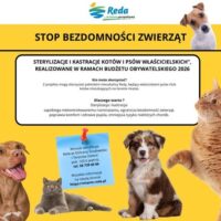 Sterylizacja Zwierząt Reda