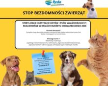 Sterylizacja Zwierząt Reda