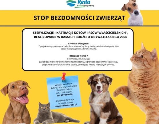Sterylizacja Zwierząt Reda