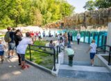 Zwiedzający oglądający nowy wybieg pingwinów przylądkowych z basenem w Warszawskim ZOO — dorośli i dzieci przy przeszklonej ścianie basenu