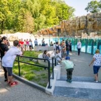 Zwiedzający oglądający nowy wybieg pingwinów przylądkowych z basenem w Warszawskim ZOO — dorośli i dzieci przy przeszklonej ścianie basenu