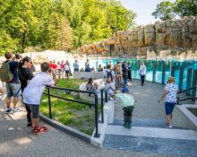 Zwiedzający oglądający nowy wybieg pingwinów przylądkowych z basenem w Warszawskim ZOO — dorośli i dzieci przy przeszklonej ścianie basenu