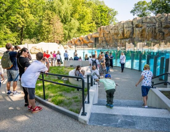 Zwiedzający oglądający nowy wybieg pingwinów przylądkowych z basenem w Warszawskim ZOO — dorośli i dzieci przy przeszklonej ścianie basenu